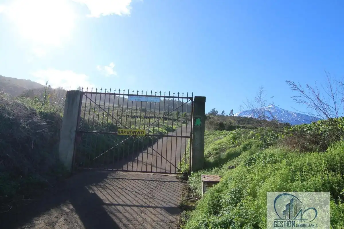 Vista exterior de Finca rústica en venta en Los Realejos