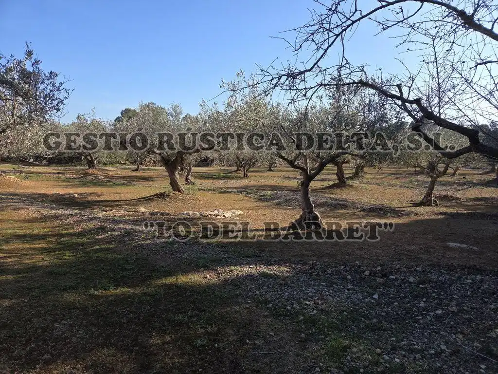 Finca rústica en venda en L'Ampolla amb Terrassa