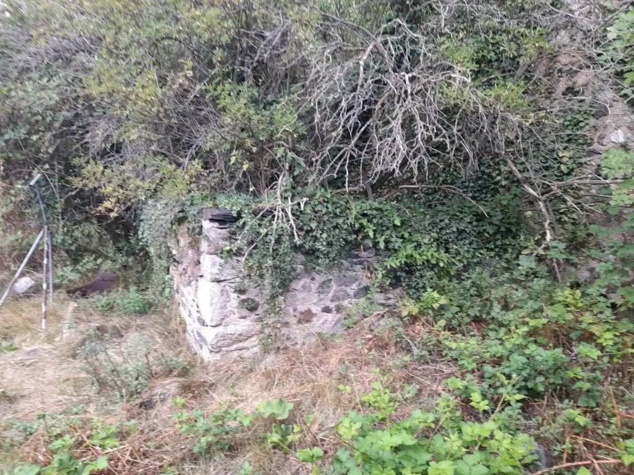 Casa rústica amb jardí en venda a Latour - de - Carol, imagen 40