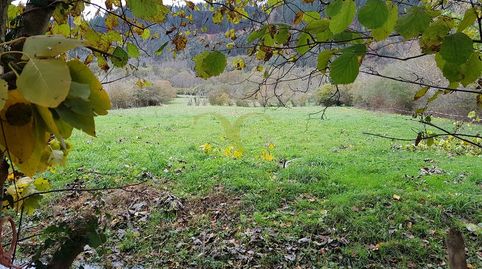 Finca llana y soleada próxima a Cangas de Onís., immagine 2