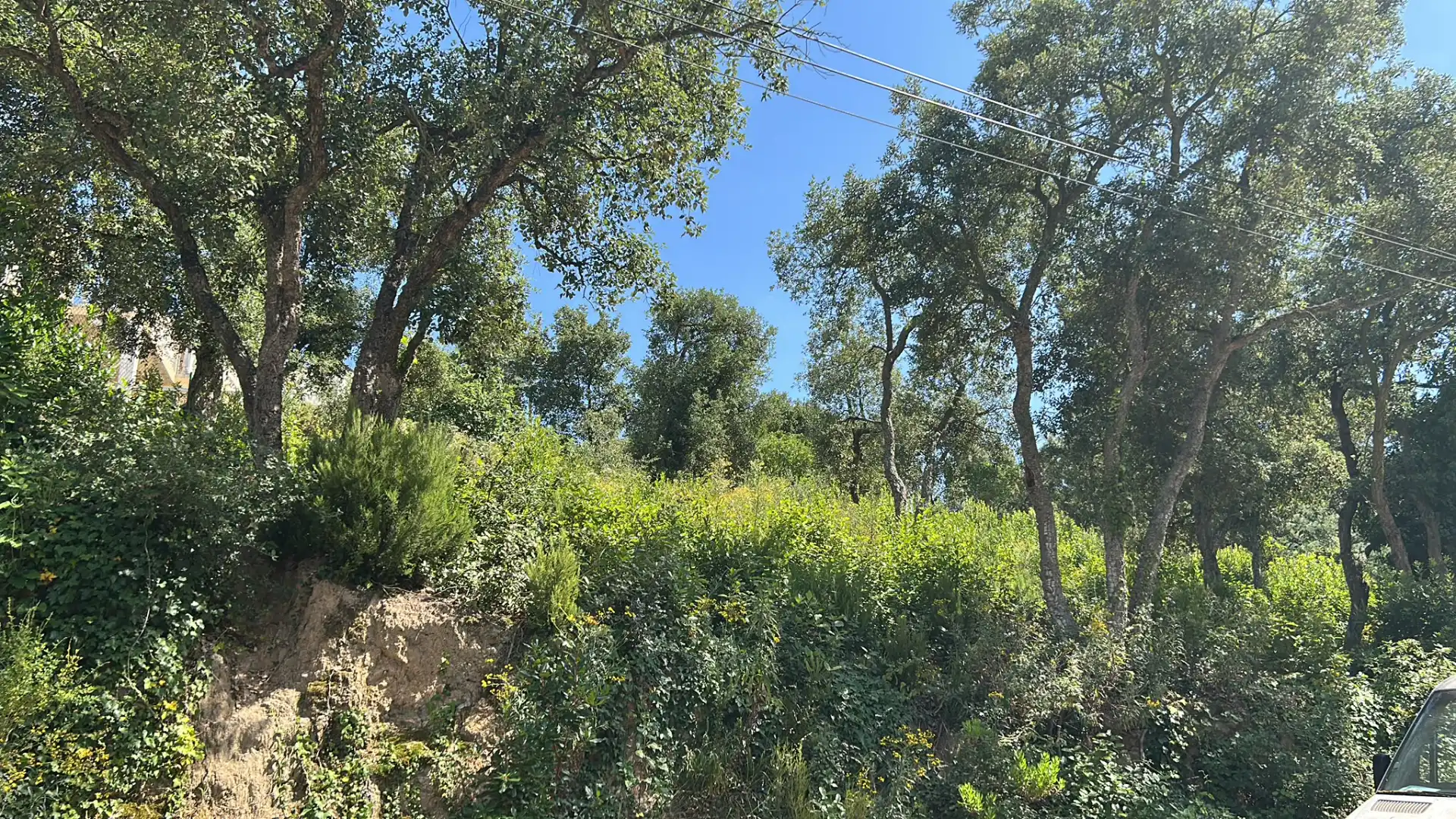 Terreno residencial en venta en Lloret Blau - La Creu de Lloret, imagen 2
