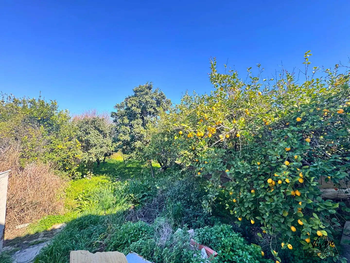 Villa à vendre à Pedanías Este, imagen 14