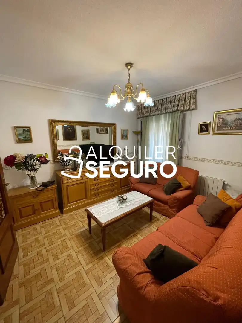 Sala d'estar de Pis de lloguer en Madrid amb Calefacció i Moblat