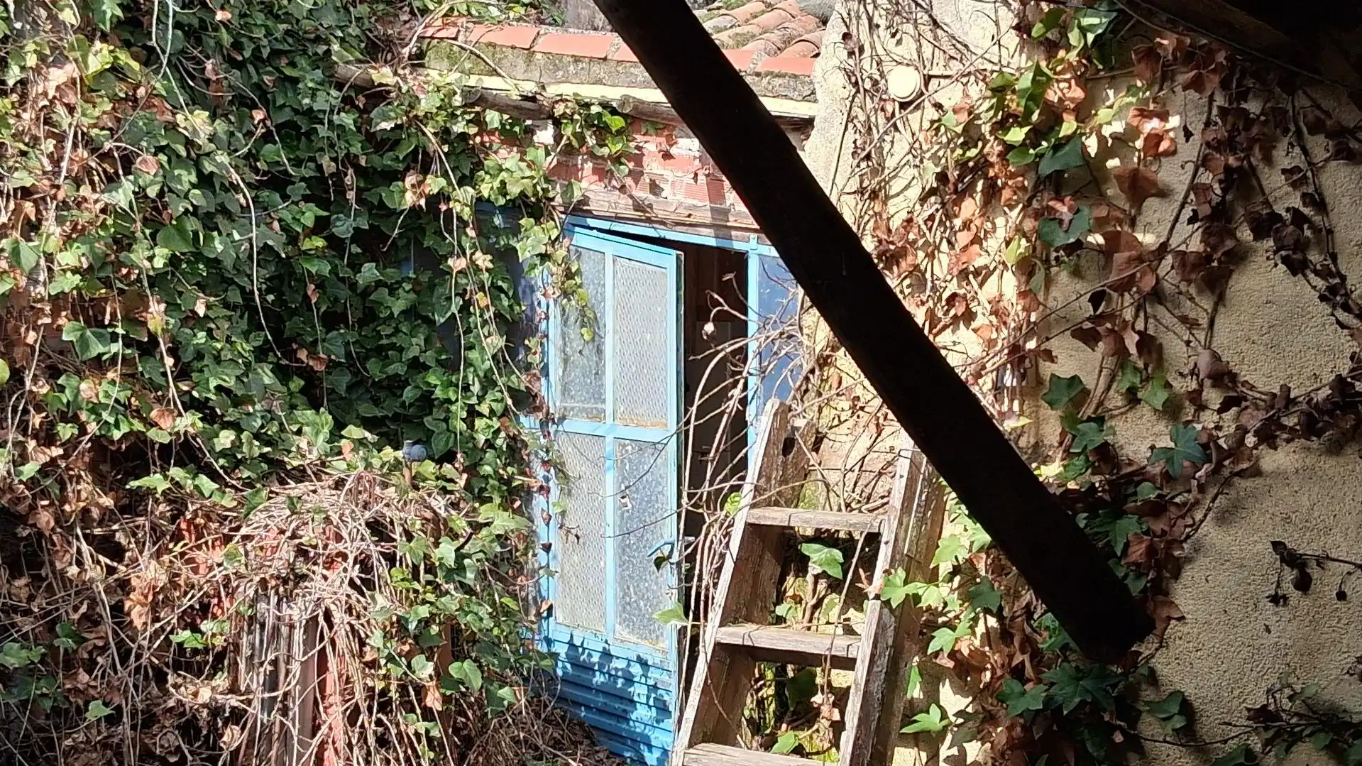 Jardí de Casa o xalet en venda en Garcihernández