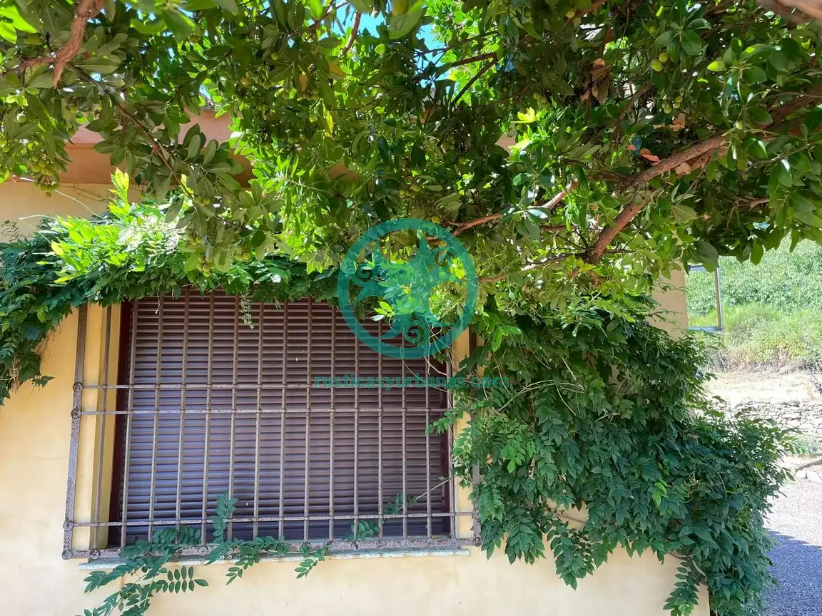 Vista exterior de Casa o chalet en venta en Jaraíz de la Vera