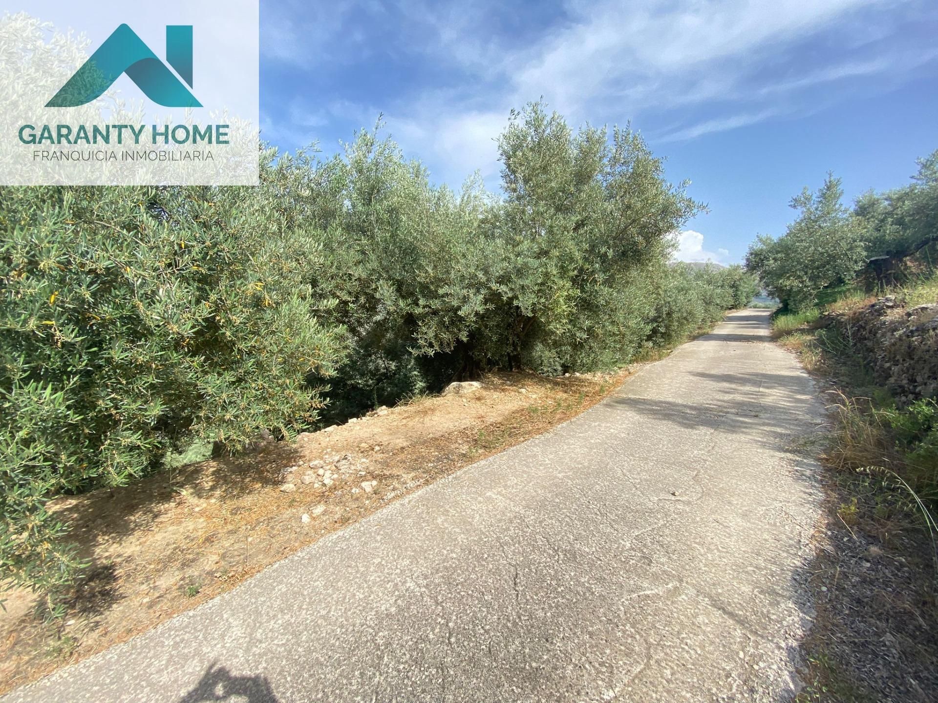 Land for sale in Valdepeñas de Jaén