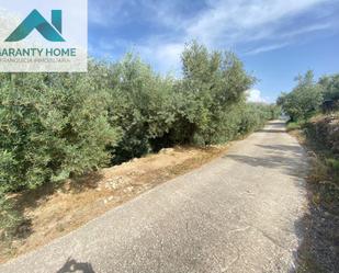 Land for sale in Valdepeñas de Jaén