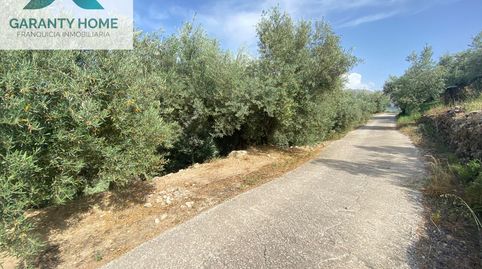 Finca rústica en Valdepeñas de Jaén con olivar y nave