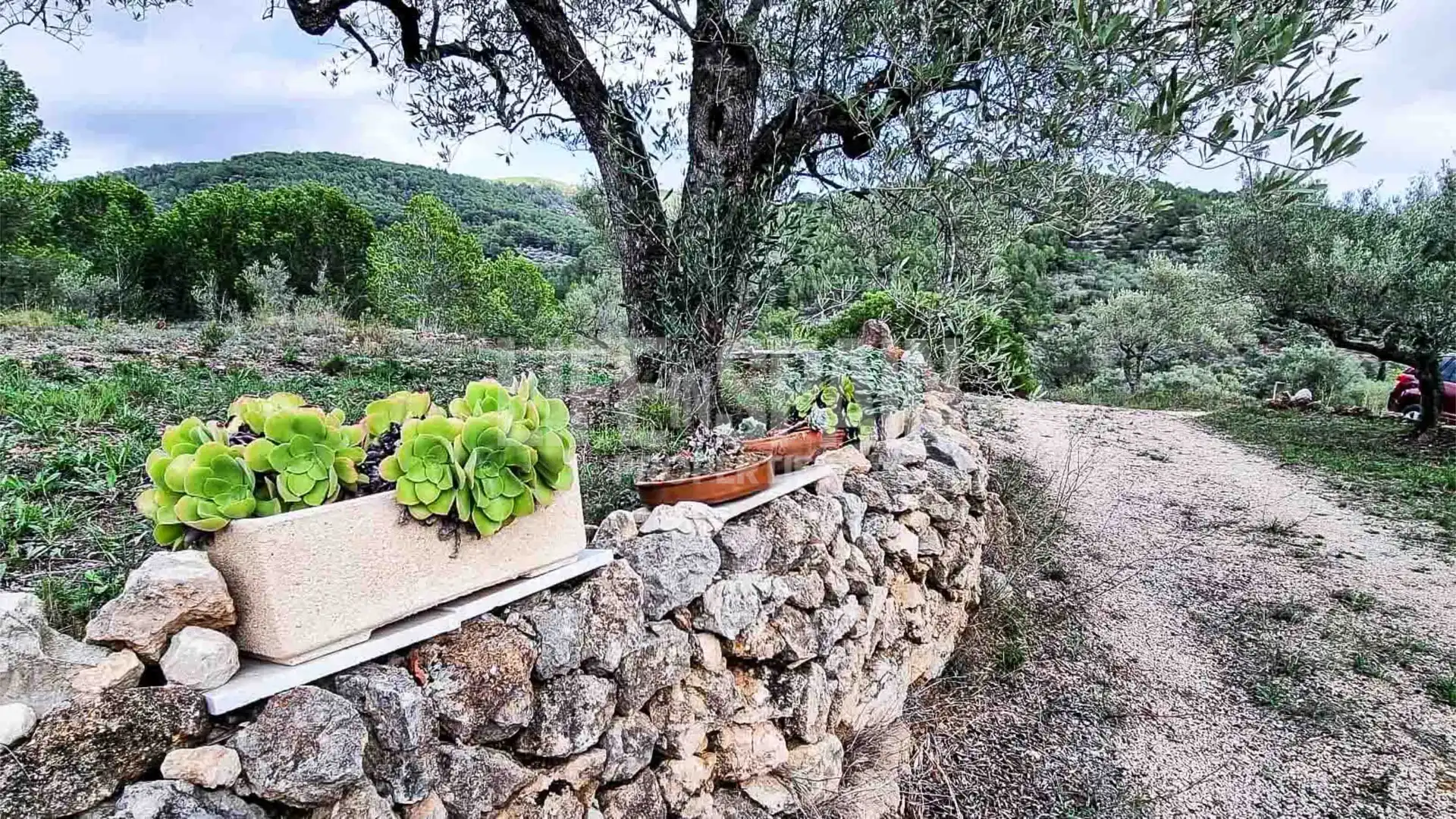 Finca rústica en venta en Bítem