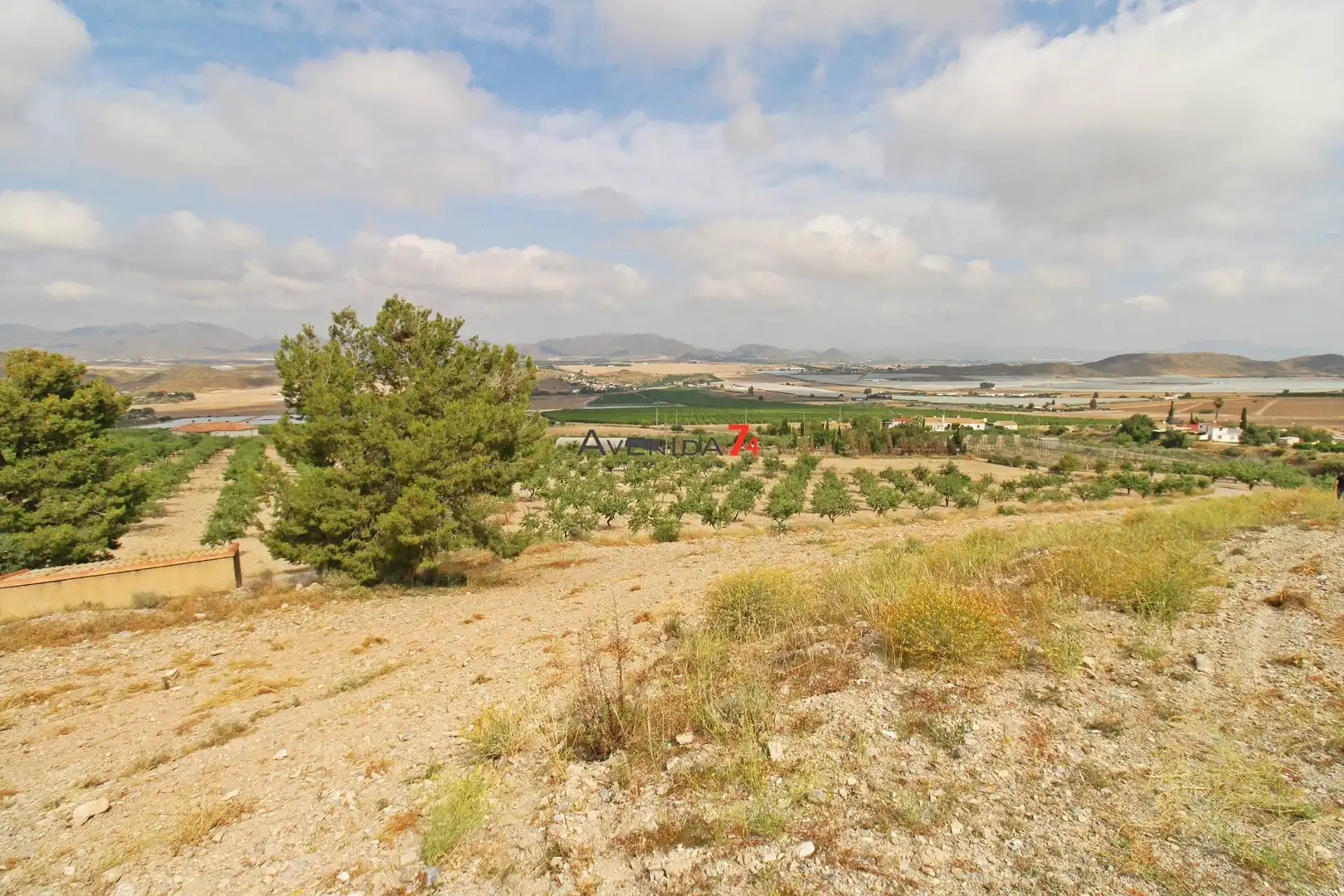 Terrains et parcelles à vendre à Pedanías Sur, imagen 9