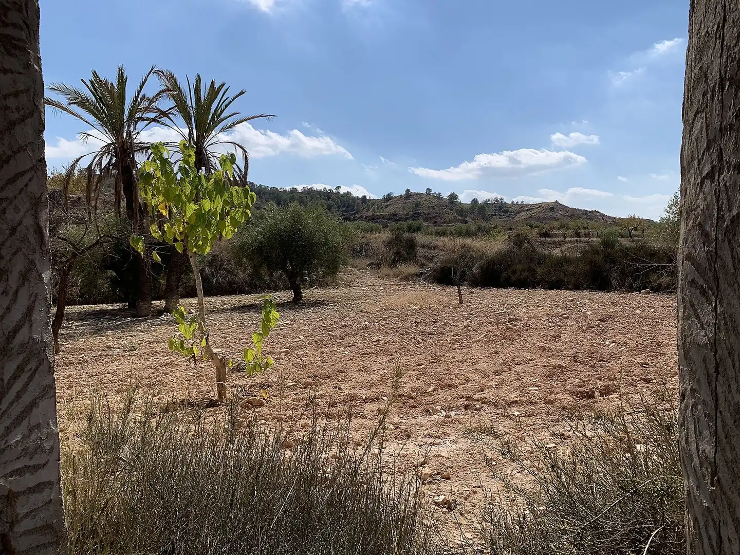 Country homes for sale in Abanilla