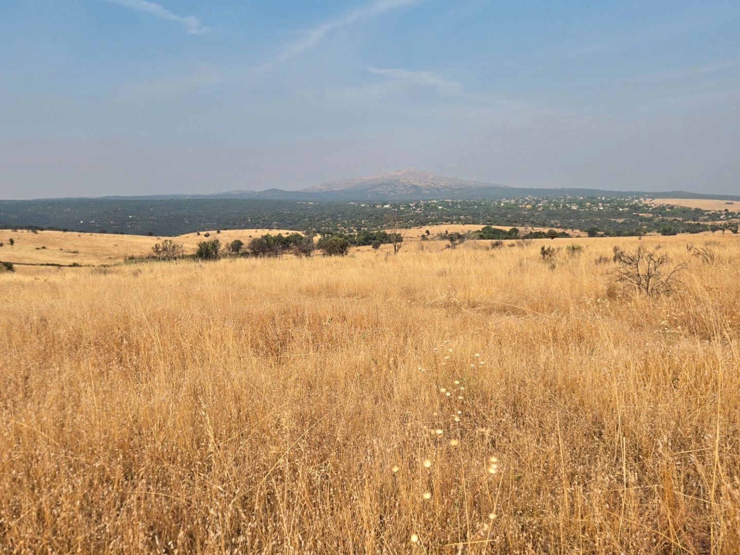 Terreno en venta en Pedrezuela
