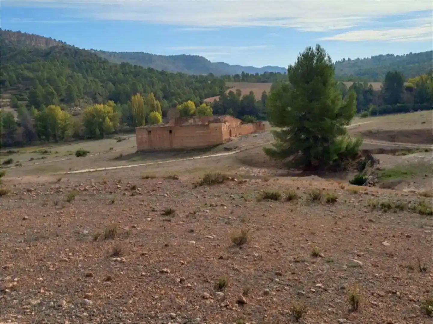 Terreno en venta en Letur