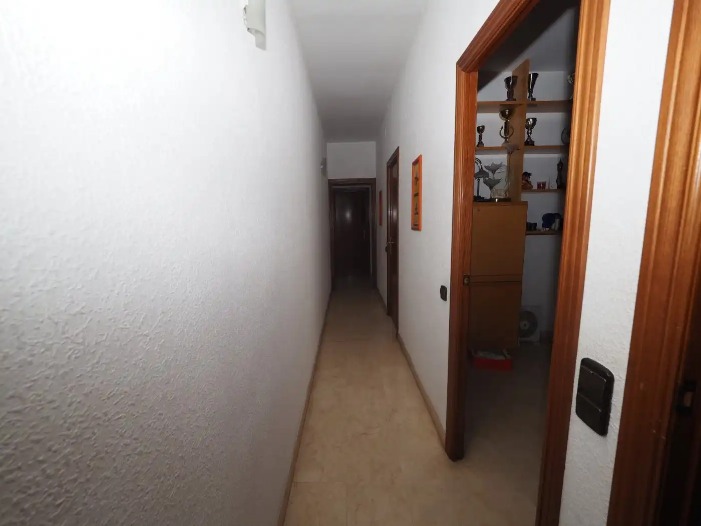 Detached homes for sale in Can Puiggener