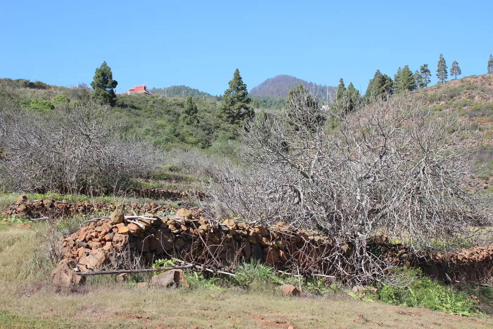 Rustikales Grundstück zum Verkauf in Machado - Las Barreras, imagen 12