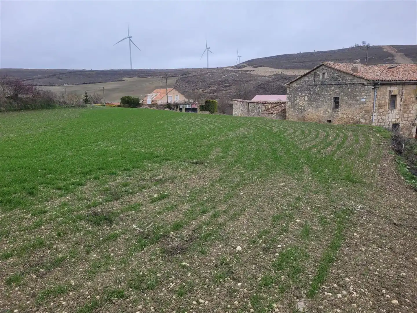 Terreno en venta en Valle de Santibáñez, Burgos