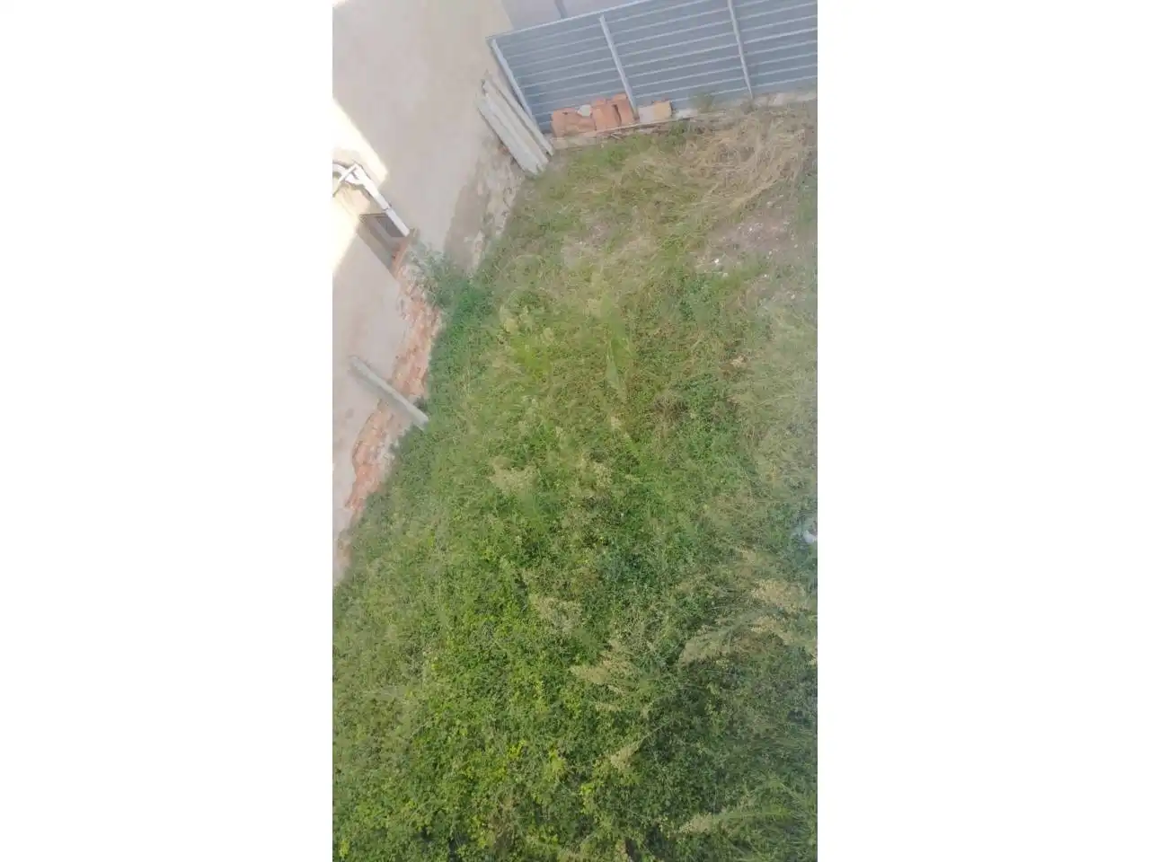 Terreno industriale in vendita a Calle Sant Jaume, imagen 2