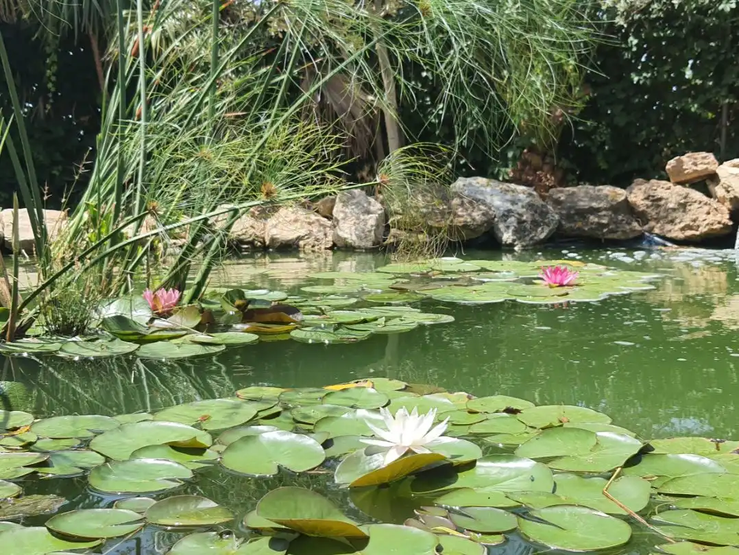 Villa con giardino in vendita a Carrer Nou 10, imagen 9