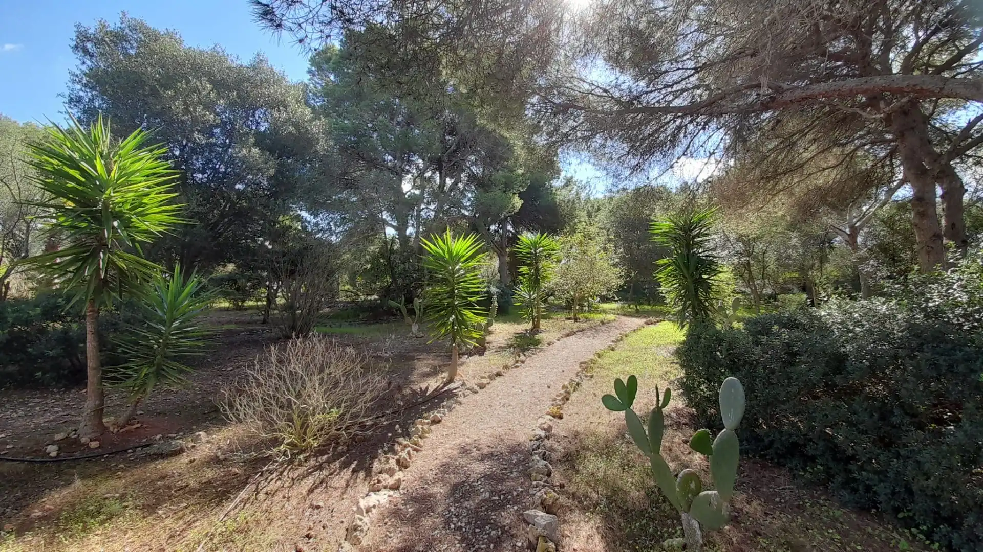 House with pool for sale in Sant Lluís - S'Ullestrar - Torret, imagen 21