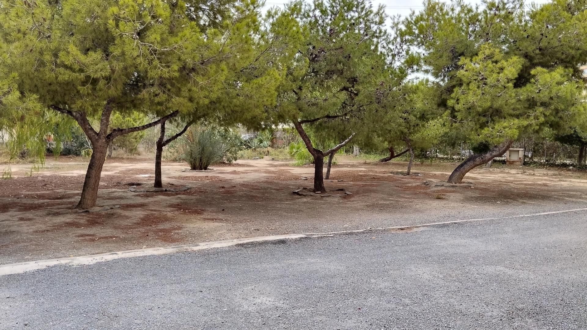 Planta baixa en venda en Alicante / Alacant amb Terrassa i Balcó
