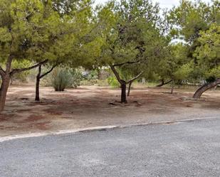 Planta baixa en venda en Alicante / Alacant amb Terrassa i Balcó