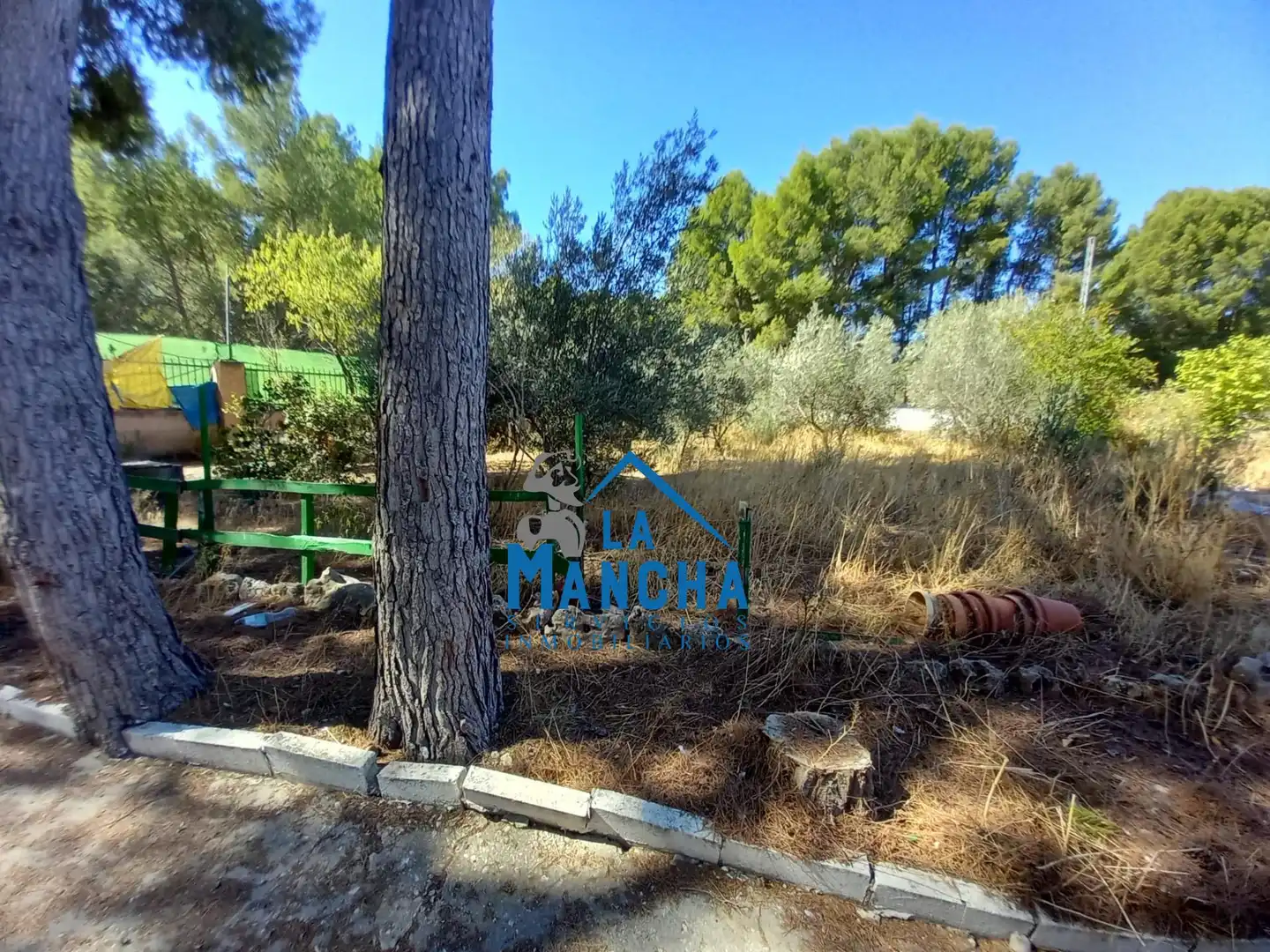 Finca rústica en venda en Albacete amb Jardí privat, Terrassa i Traster