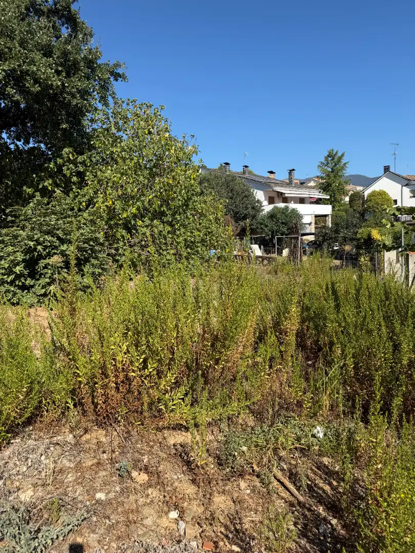 Terreno residenziale in vendita a Carrer Consell de Cent 27, imagen 3