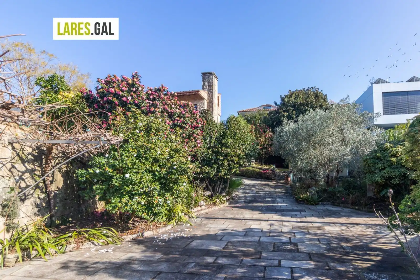 Jardí de Casa o xalet de lloguer en Moaña amb Calefacció, Terrassa i Moblat