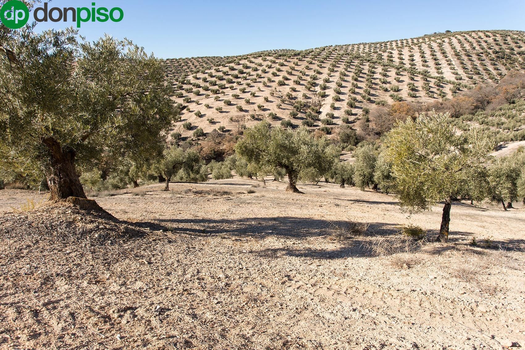 Land for sale in Dehesas Viejas