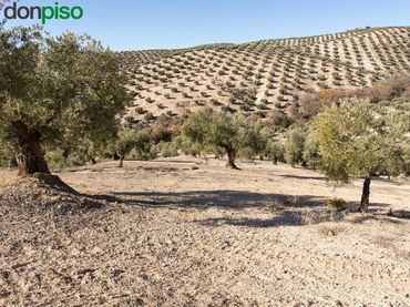 Terreny rústic en venda a Poligono 2 parcela 276 y 409