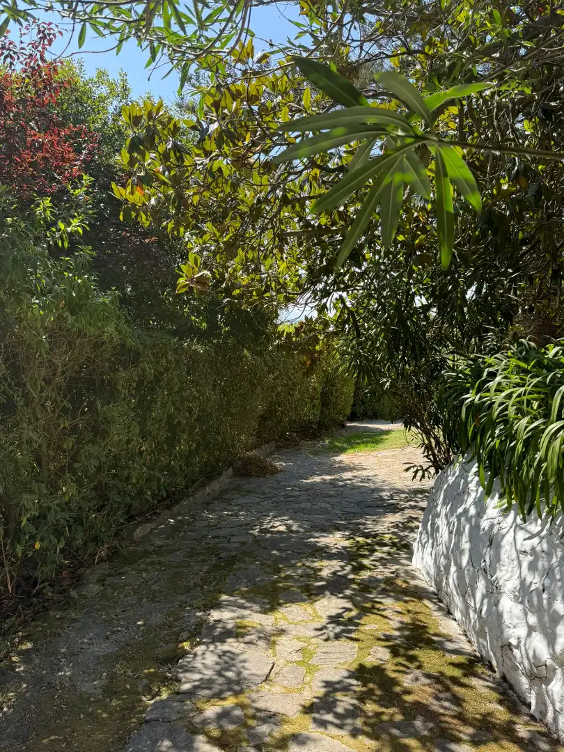 Jardín de Casa o chalet en venta en Algeciras con Jardín privado, Terraza y Piscina