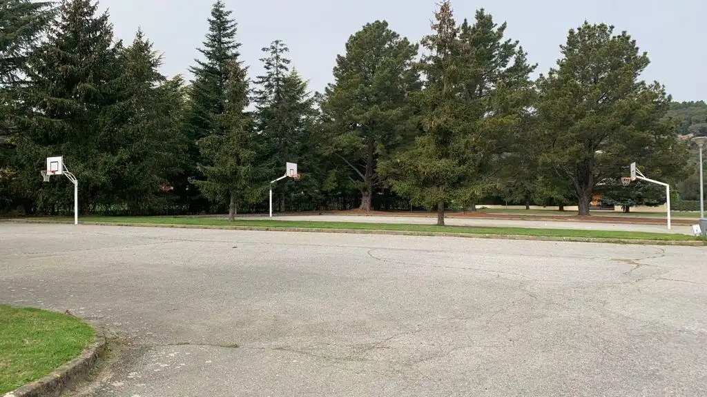 Vista exterior de Casa o xalet en venda en Arbúcies amb Calefacció i Jardí privat