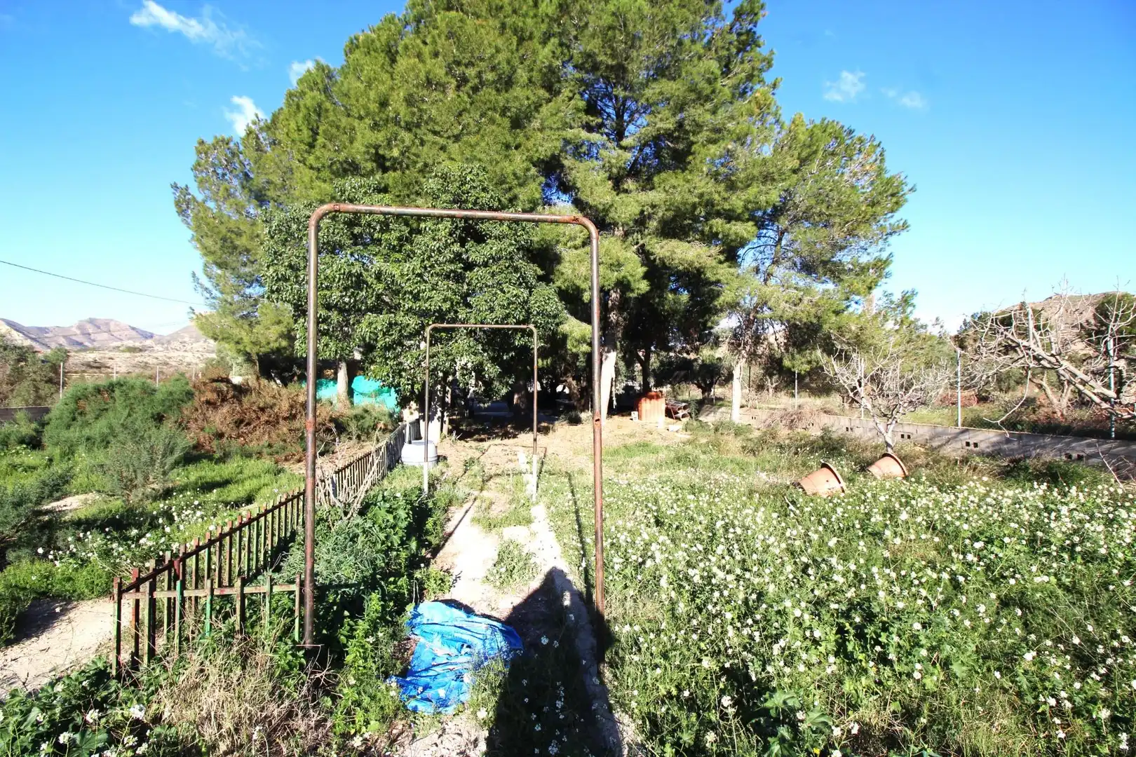 Casa o xalet en venda en Alicante / Alacant