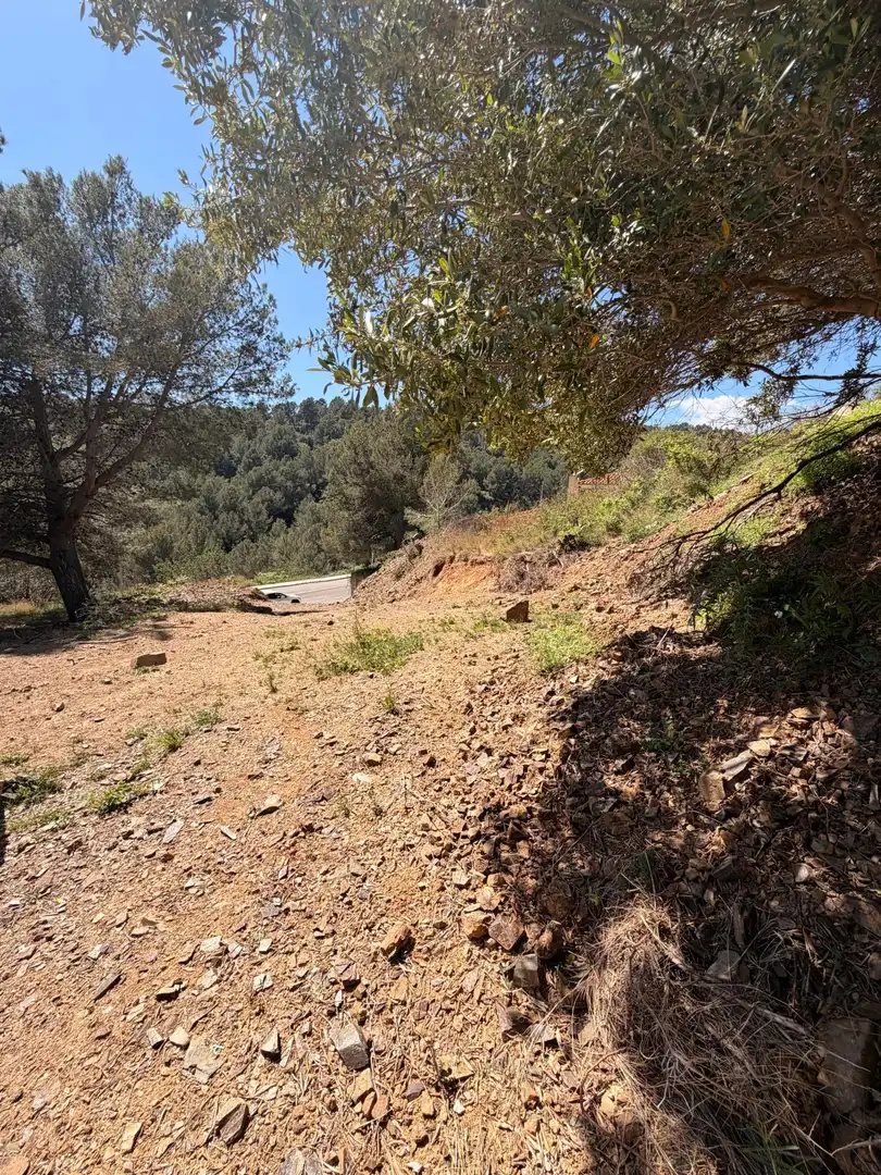 Terrenys i solars en venda a Almoster, imagen 7