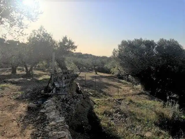 Casa o xalet en venda en Tortosa