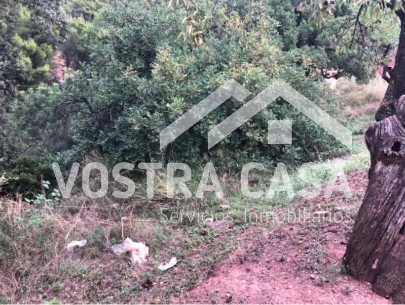 Terrain rustique à vendre à POLIGONO, imagen 8