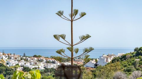 Foto 2 de Planta baixa en venda a Urbanización Reserva de Marbella, Reserva de Marbella, Marbella