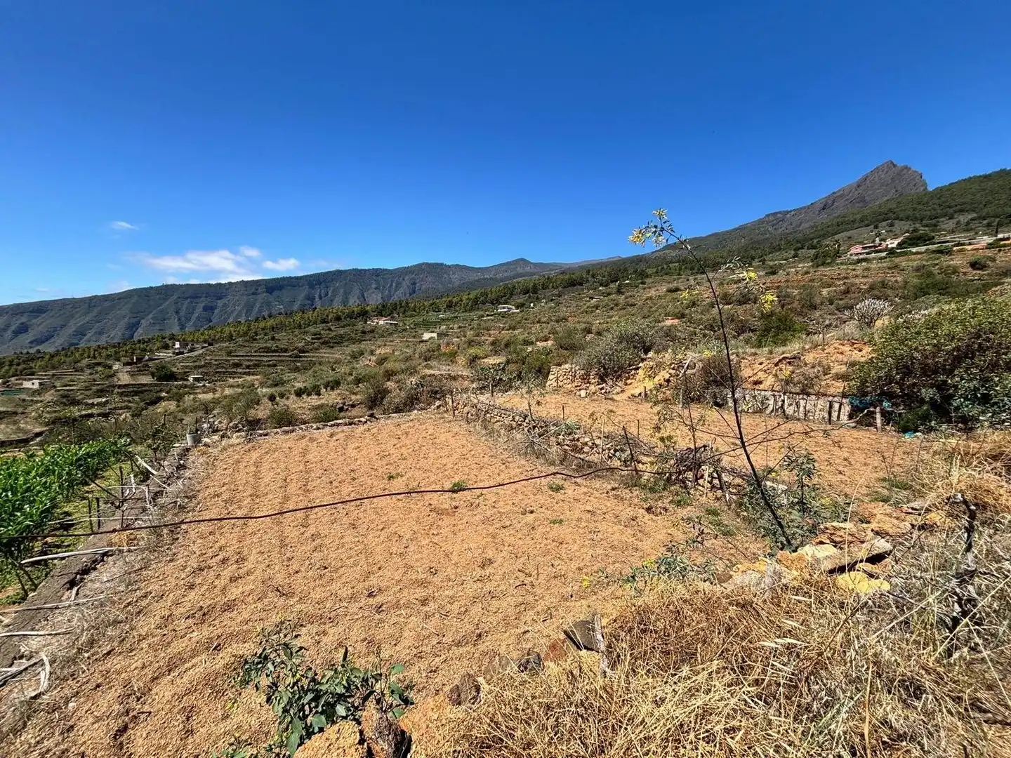 Rustikales Grundstück zum Verkauf in Polígono 1 Parcela 509 LAS CUESTAS. ARAFO (S.C. T 1, imagen 10