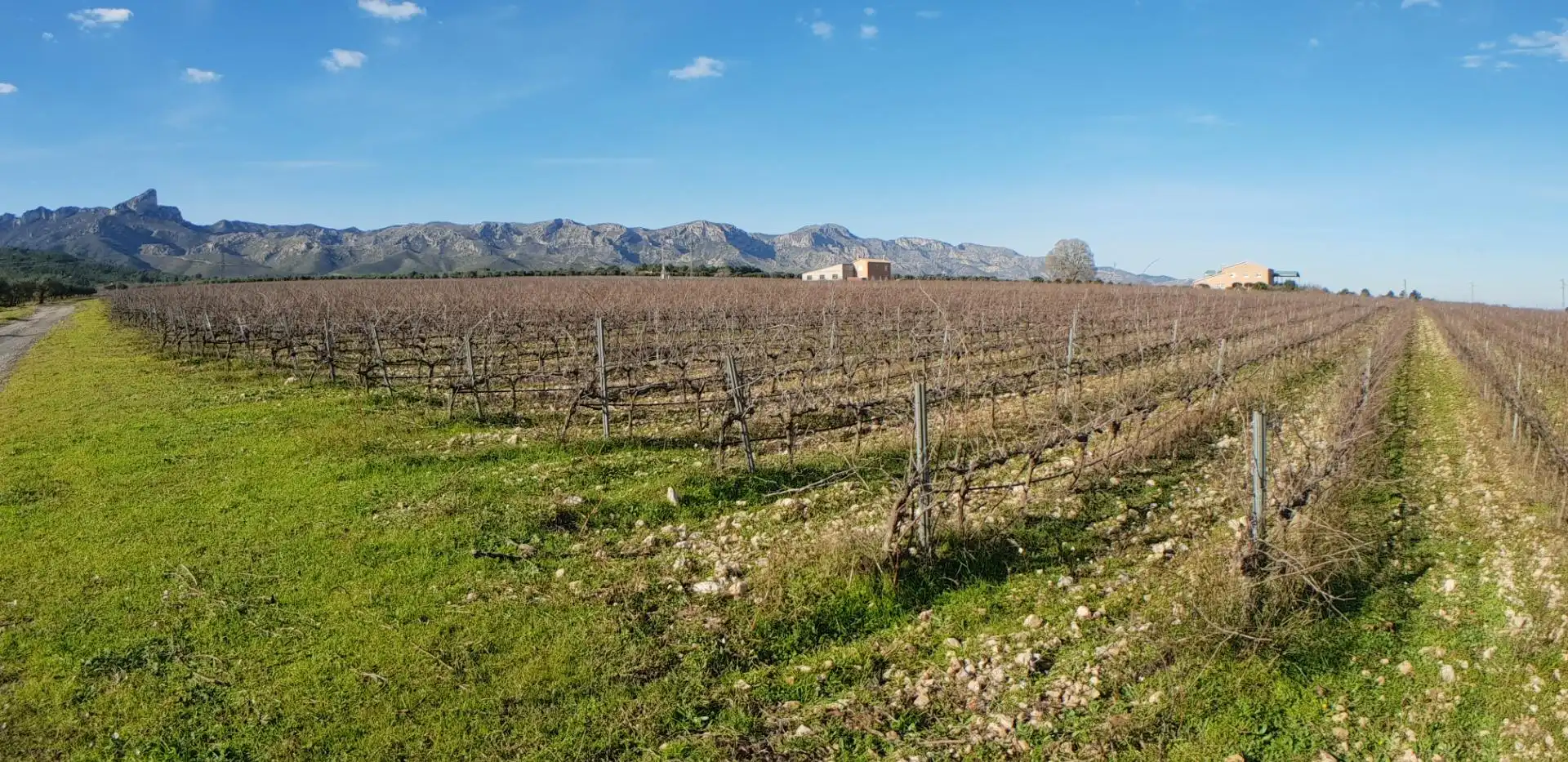 Vista exterior de Finca rústica en venta en El Perelló con Jardín privado, Terraza y Trastero