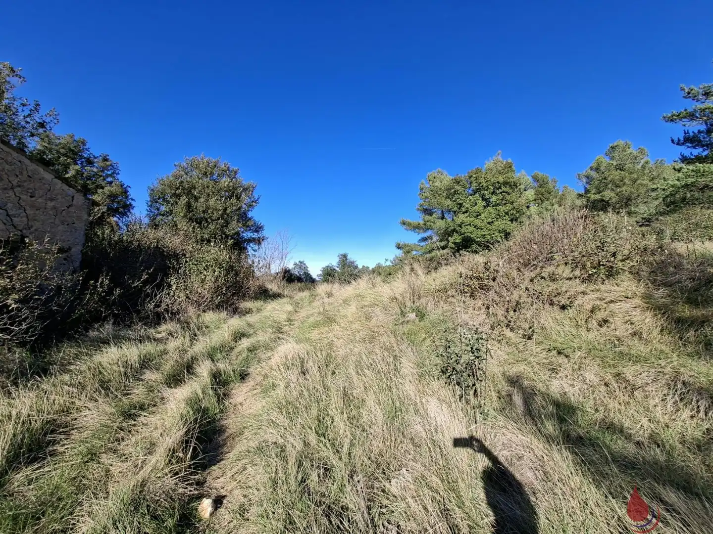 Lands and plots for sale in Aiguamúrcia, imagen 5