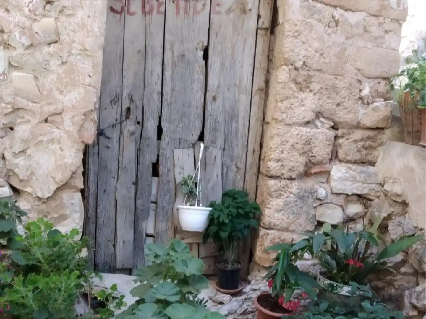 Terrasse von Geschaftsraum zum Verkauf in Molinos