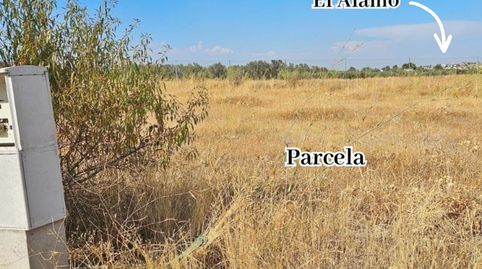 VENTA DE PARCELA URBANA DE MAS DE 9000M2