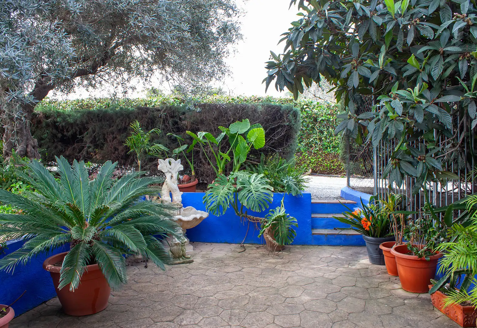 Jardí de Casa o xalet en venda en Coín amb Aire condicionat, Jardí privat i Terrassa