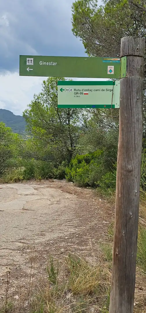 Land for sale in Móra d'Ebre