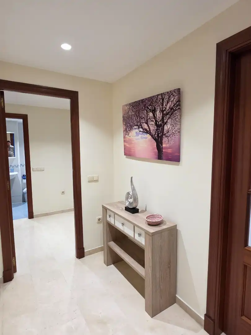 Flat for rent in Málaga  with Air Conditioner, Terrace and Furnished