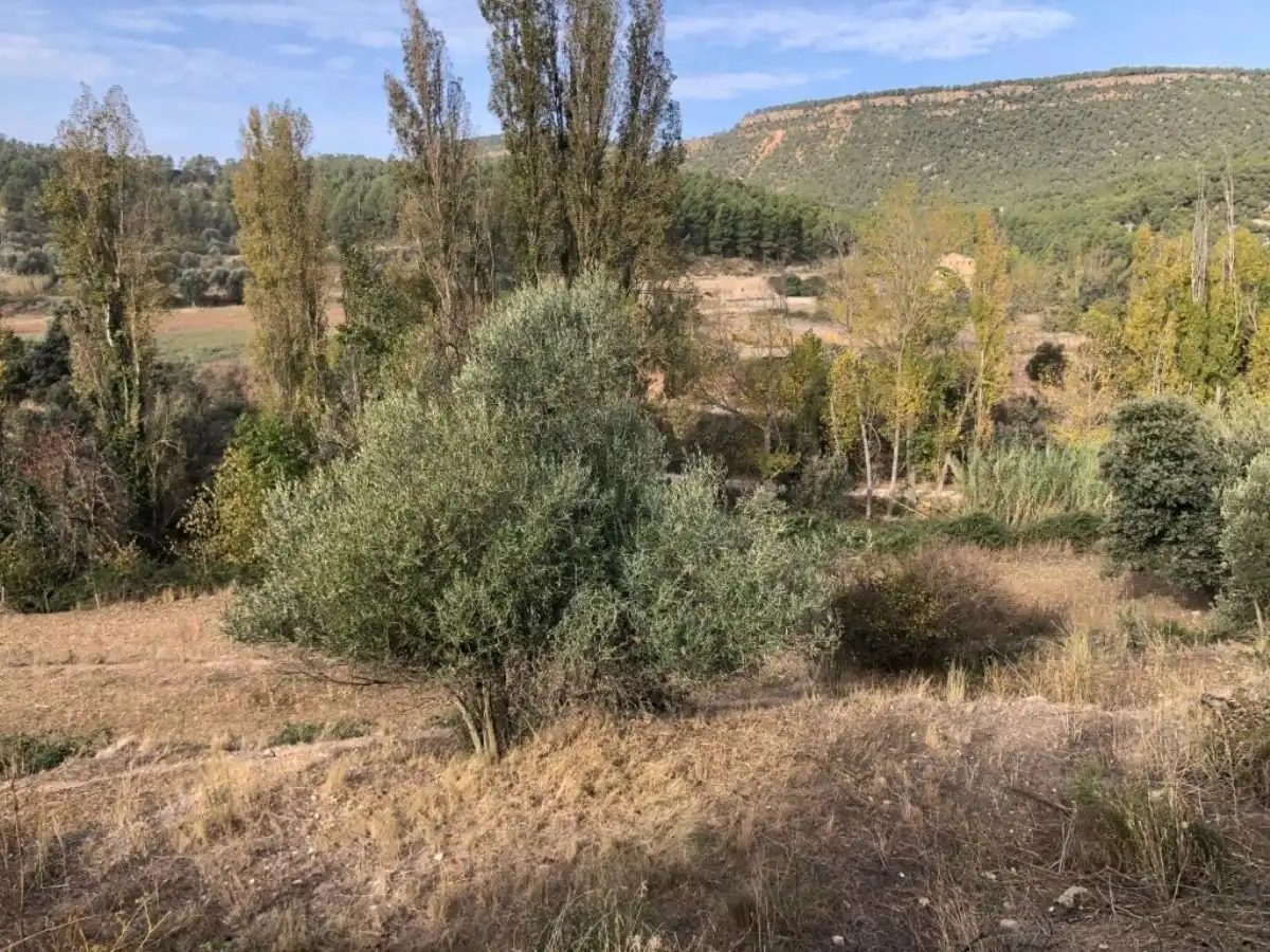 Finca rústica en venda en Valderrobres