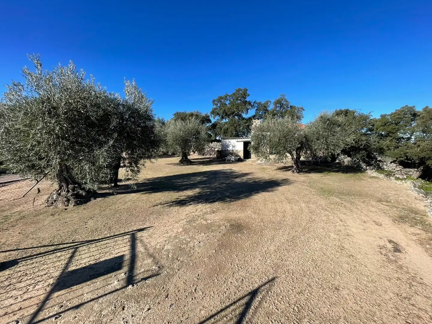 Terreni e lotti in vendita a Montánchez