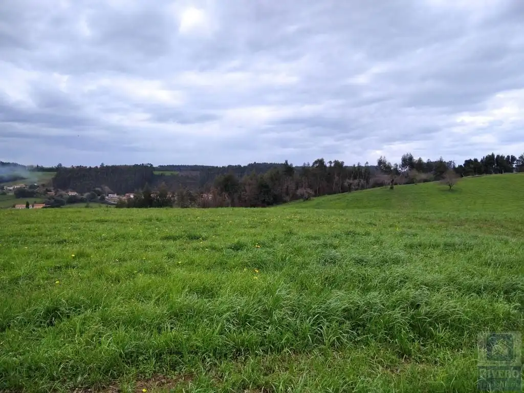 Grundstücke zum Verkauf in Carreño