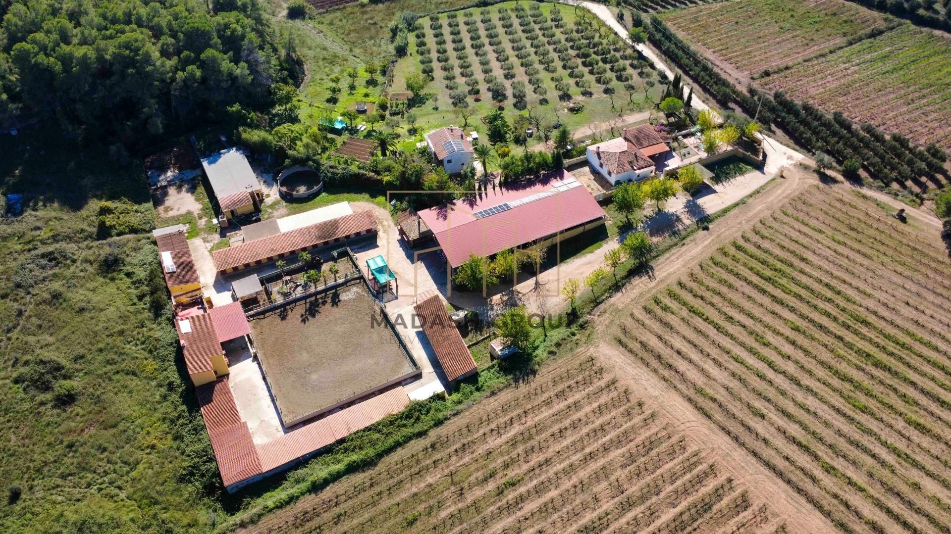 Country house for sale in Bonastre