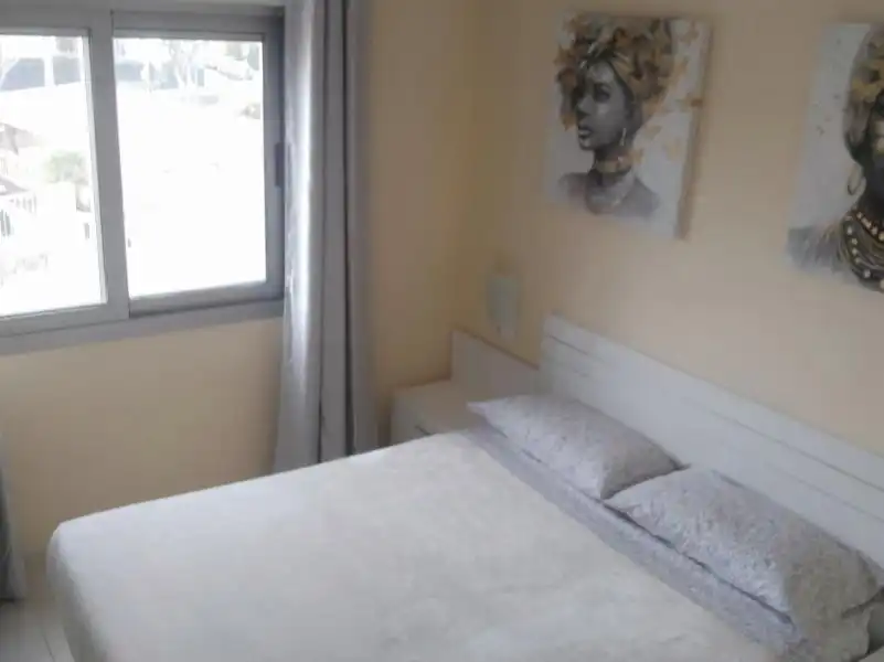 Apartment with pool to rent in AV/EUROPA 6, imagen 48